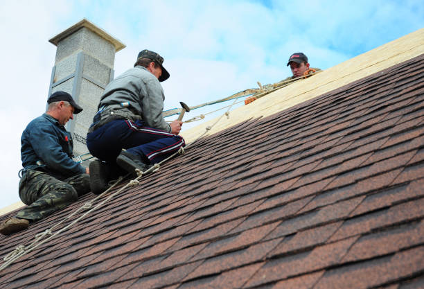 Best Metal Roofing Contractor  in Aurora, IL